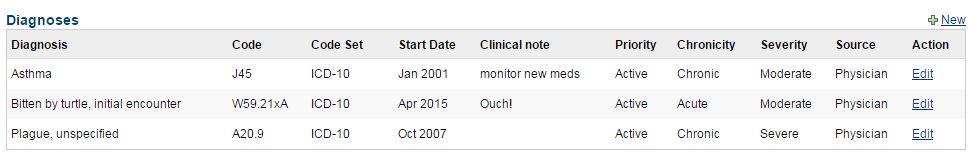 Verify that ICD-10 Code field is displayed for entry when adding a New diagnosis to the patient s record Verify