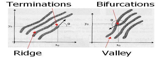 Figure 2. Mitutia Termination and Bifurcation 1.2 What is Fingerprint Recognition?
