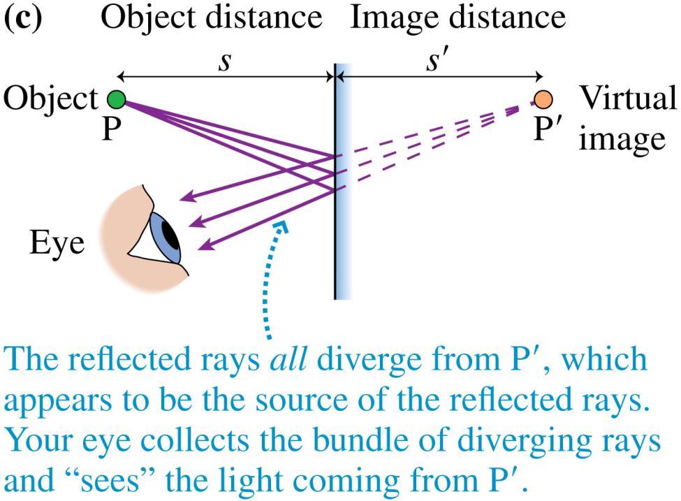 The Plane Mirror Point P, from which the reflected rays diverge, is called the virtual image of P.