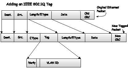Figure 4-3 Adding an IEEE 802.1Q Tag Port VLAN ID Packets that are tagged (are carrying the 802.1Q VID information) can be transmitted from one 802.