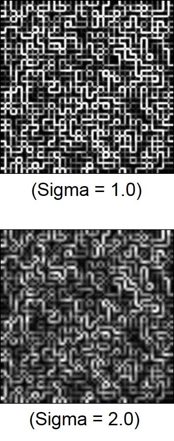 Figure 5 shows the Gaussian blurred images with different scale parameters, the edge responses after blurring and the nosy versions of blurred images with two different scales.