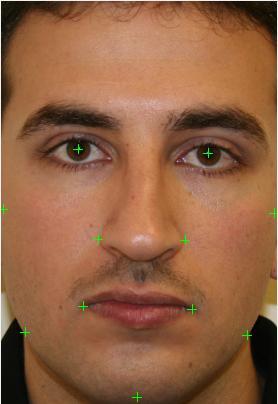 3D Modelling, Simulation and Prediction of Facial Wrinkles 367 photographs, such as the work in Ref.