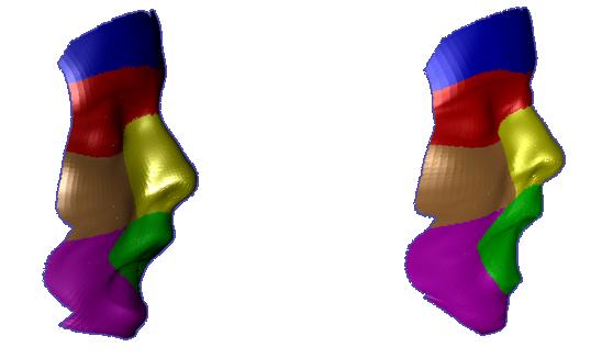 (256 corresponding to the geometry image and 256 corresponding to the normal image) from which they obtained a compact representation of the 3D mesh, which resulted in a very efficient 3D FR system.