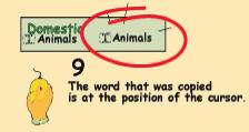 Jyoti copies the word animals and uses it in the titles of the two lists.