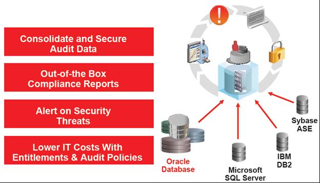 Environment Platform: IBM AIX, Windows Server 2003 Databases: Oracle 10g,MS SQL Server 2005 Oracle Audit Vault 10g.