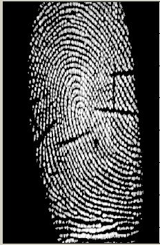 Given two set of minutia of two fingerprint images, the minutia match algorithm concludes whether the two minutia sets are from