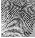 Results of EASI: Mixture Hardware part: Separated1 Separated2 Separated3 Fingerprint Identification