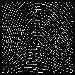 Fingerprint Image Pre-Processing Throughout the course of this investigation several methods for each stage of the image pre-processing have been implemented and compared.
