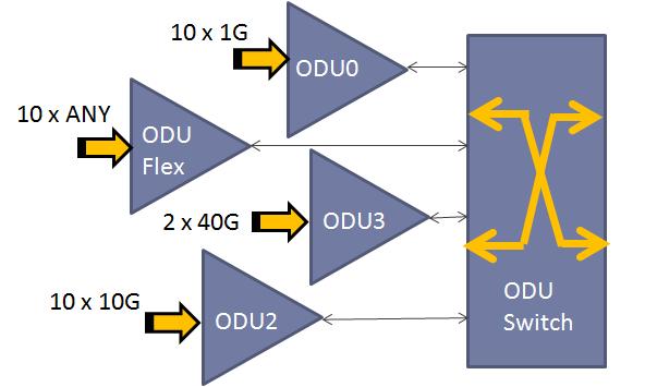 OTN Switching (Packet- Op3cal Example) Fabric cards are