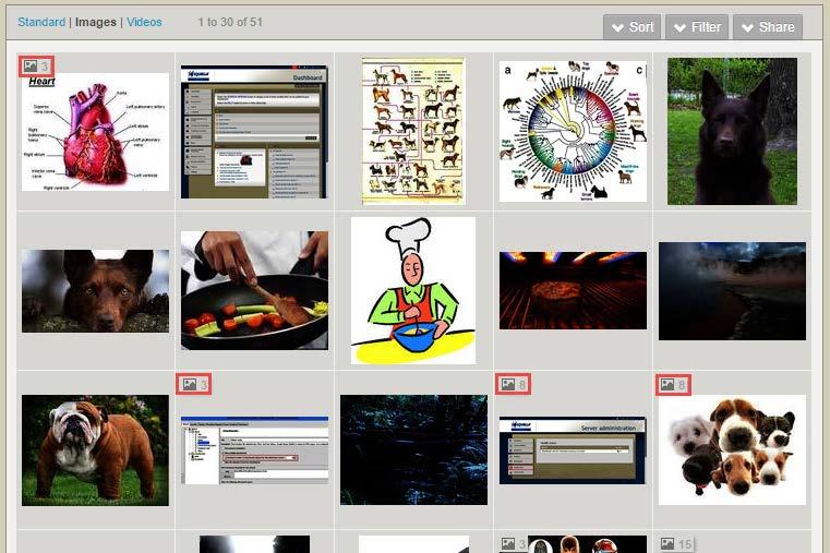Figure 42 Multiple image file counts The indicators alert users to the presence of other images, and clicking on the image thumbnail opens the Resource summary so all image attachments can be viewed.