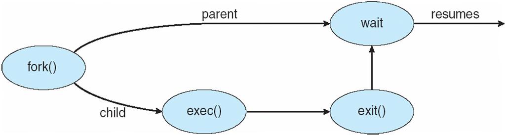 Process Synchronization with wait() Parent process may call