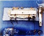 Single-transistor integrated circuit 1958 Jack Kilby