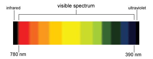 Light Visible Light In the middle of the electromagnetic spectrum The only wavelengths we can see