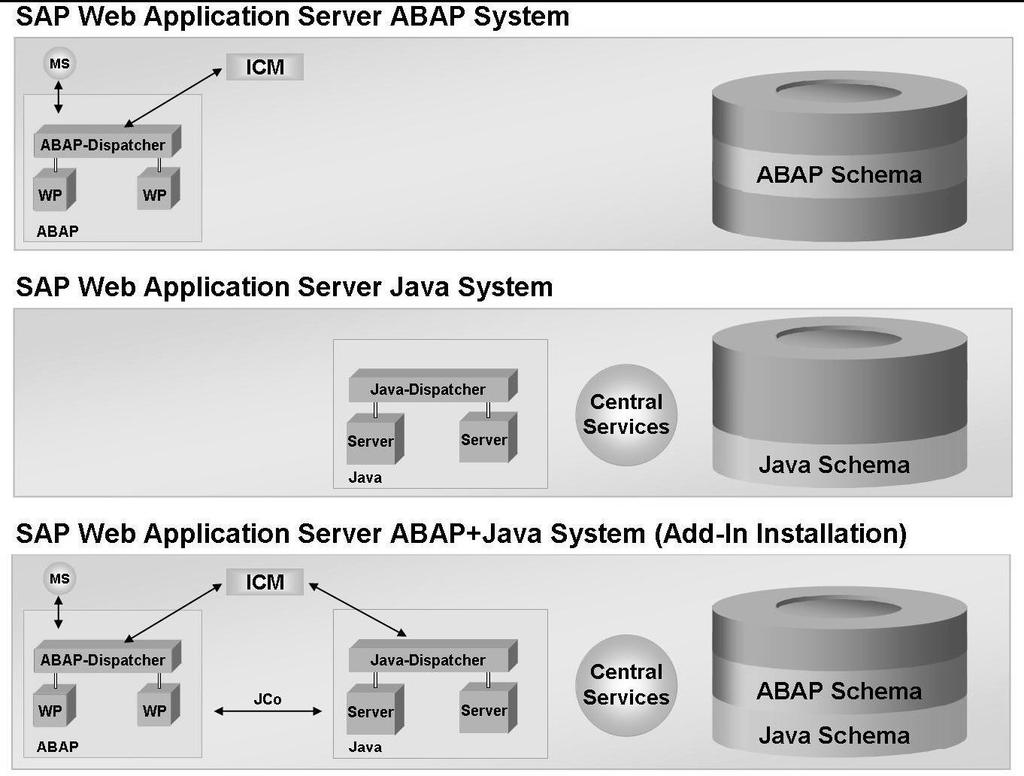 Figure: SAP Web AS Installation Options For SAP Web AS, the following installation options are offered: SAP Web AS ABAP: Complete infrastructure in which ABAP-based applications can be developed and