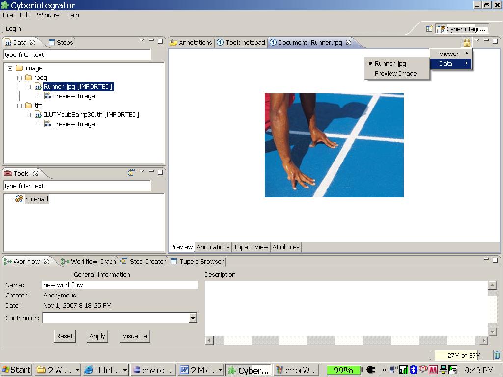 Figure 28. An image data viewer can show either the original image or the preview image.