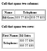 <table border="1"> <td>a</td> <td>b</td> <th>first Name:</th> <td>bill Gates</td> <th rowspan="2">telephone:</th> <td>555 77 854</td> <td>555 77 855</td> </table> <td>bill Gates</td> <td>555 77