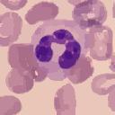 Leukocyte Segmentation in Blood Smear Images 871 (a) (b) (c) (d) Fig. 3. Regional statistics.
