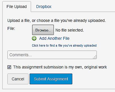 Another method your professor may want you to use for submitting assignments is through a text entry. Type, or copy and paste text into the Rich Content Editor. Click on Submit Assignment.