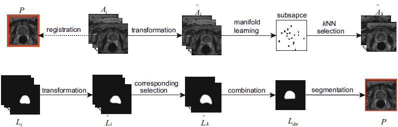 Some perspectives with ML techniques Also investigated for atlas-based approaches ML for atlas