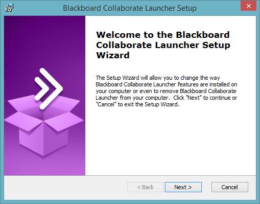 Click Next to run the setup wizard. The setup wizard will install the Windows launcher and adds it to the Start menu.