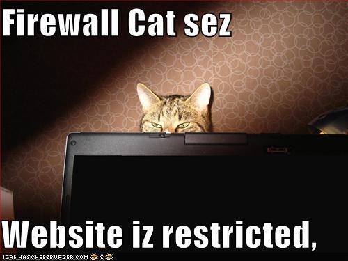 3) My organization has a software firewall on all computers: 1) I am not aware if we have any software firewalls 2) We do not use a software firewall 3) We have a software firewall