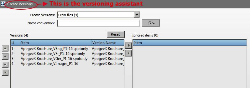 However the Version Name column next to the Item column does not yet contain a good name. Starting the Versioning assistant 5.