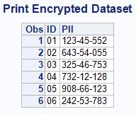 The first method is data step encryption, which uses a built-in SAS function to password protect datasets.