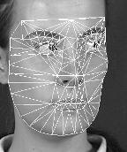 General Pose Face Recognition Using Frontal Face Model 85 artefact at the boundary between triangles), however the behaviour of the method is not always clear in-between feature points, especially in