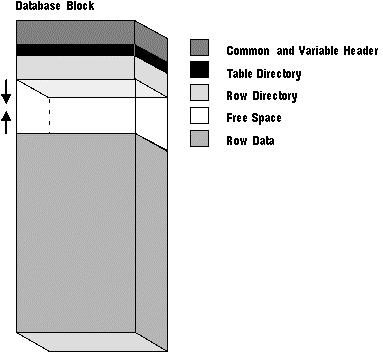 93 Header: general block info: block address and the type of segment; for example, data, index, or