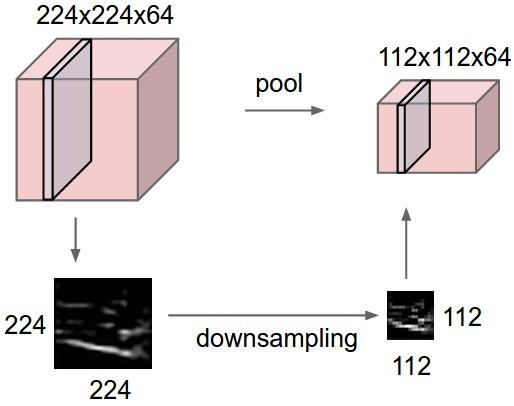 2.2.2 Pooling layer Pooling layers are used for down-sampling in CNNs. Down-sampling or subsampling is to decrease the size of feature maps as shown below.