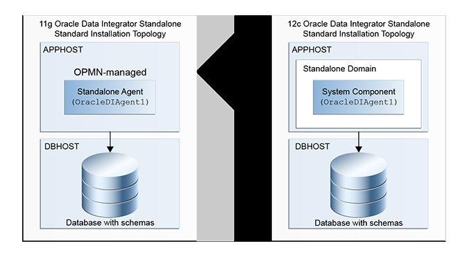 About the Oracle Data Integrator Standard Topologies data servers (for example, the file system or a loader utility installed with the database instance), and you do not want to install a Java EE