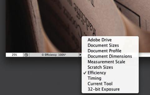 75 FIGURE 3.4 The Efficiency display option at the bottom of document windows.