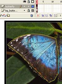 Tutorial 10: Tracing An Image And Animating A Butterfly Learn how to - Trace an image to create a realistic drawing - Create an animated and static butterfly Step 1: Set up the page Open Flash and