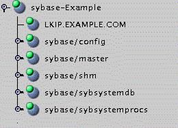 Overview Overview The LifeKeeper for Linux Sybase ASE Recovery Kit provides a mechanism for protecting Sybase ASE Server instances within LifeKeeper.