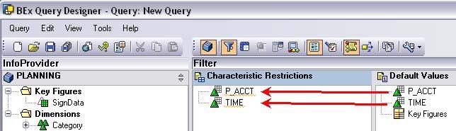 Drag and drop the P_ACCT and TIME dimensions from