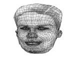 Using an AAM we initially tracked 92 key facial landmarks, and then interpolated them to 459 using a Catmull-Rom spline [16]