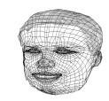 (a) (b) Figure 4: (a) Illustration of 459 points on a sample face; (b) 83 feature points for evaluation.