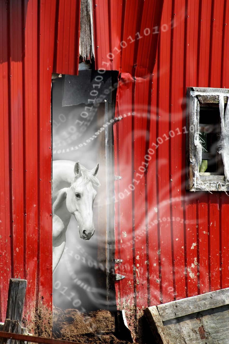 5 Shut the barn door before the horse leaves Just as you should inspect traffic coming into your cloud, you should know what s leaving it.