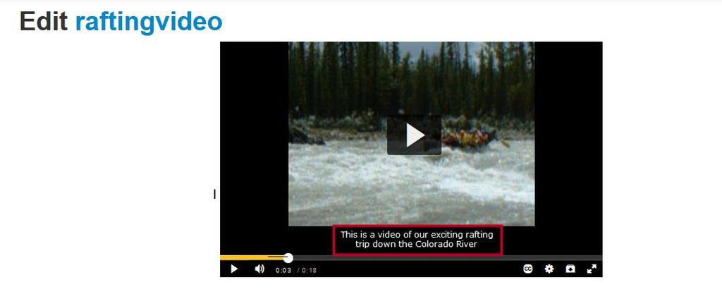 11. The captions now appear on the video. Figure 47 - Captions in Video 12. To delete captions, from the Captions tab, click the Delete (X) button. 13. Confirm deletion by clicking Delete.