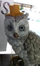 x6 Folk Art Owl large