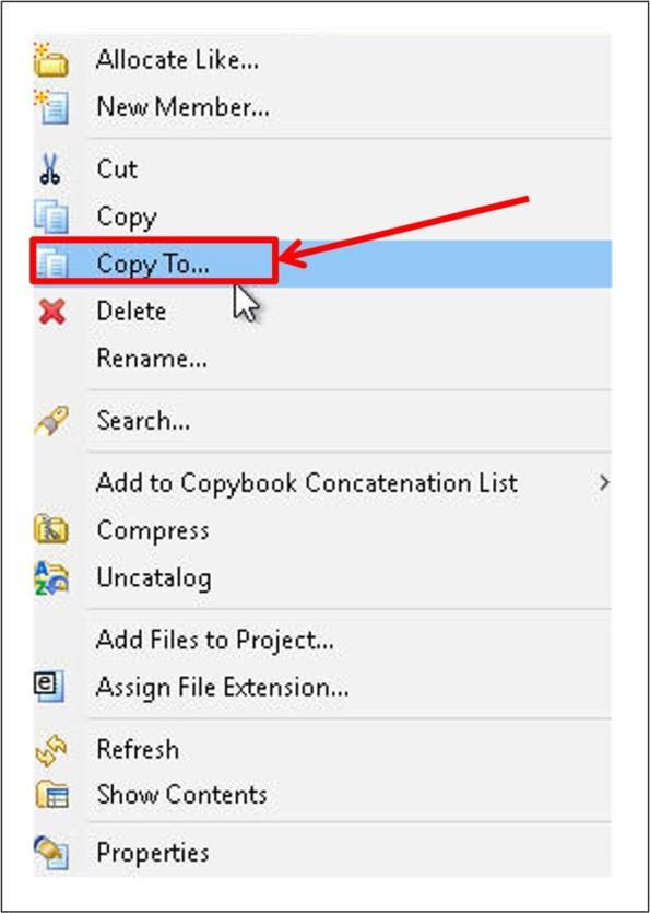 5. In the context menu, choose Copy To 6.