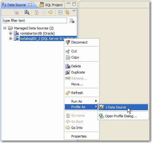 Browsing Data Sources In order to analyze and tune statements on data sources within your enterprise, you need to access the data source objects within the application environment.