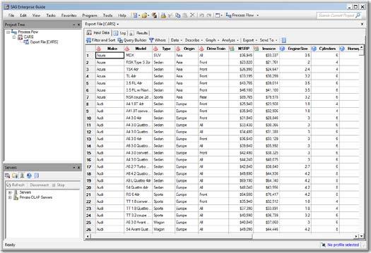 The Input Data tab shows the contents of the input SAS data set.