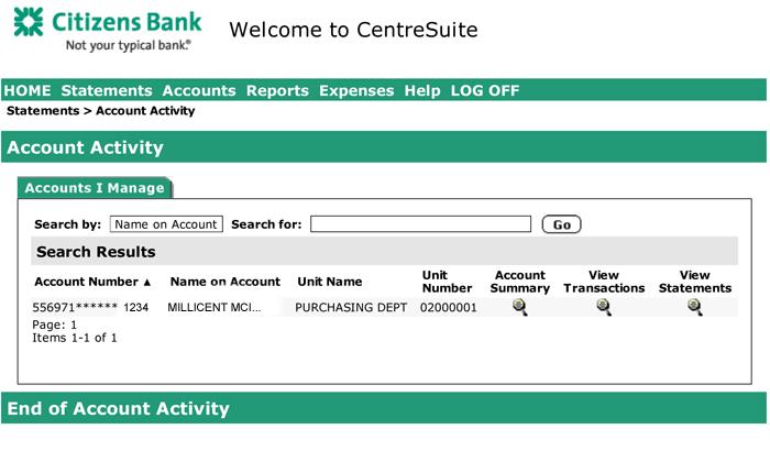 NAVIGATE TO: STATEMENTS Review Account Activity Information regarding your account, or the account you manage, is displayed on this page