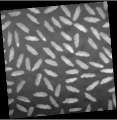 (a) Cover image (b)watermark image Gaussian Noise ( var 0.001) Gaussian Noise ( var 0.