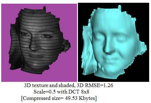 (a) Decompressed images at Single level DWT converted to surface; surface with scale=0.