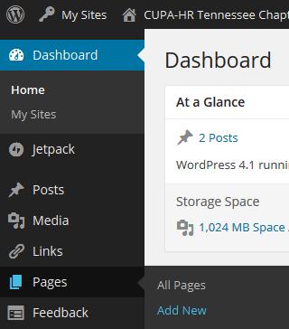 How to Create a Page in WordPress 1.