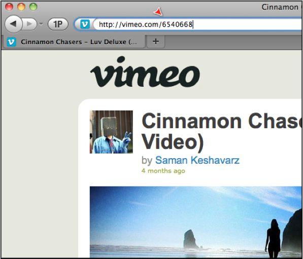 * VIMEO:VIDEO_ID * For Vimeo videos, the unique video ID is everything after the backslash at the end of the URL.