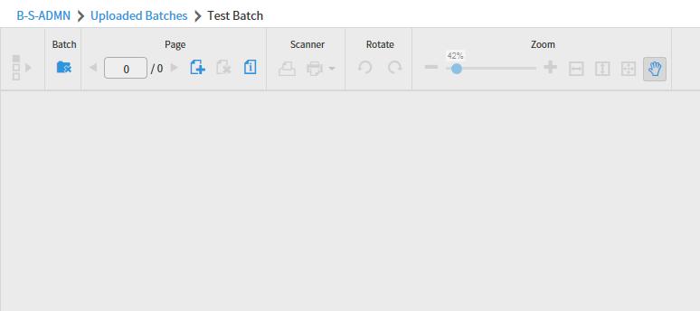 When your batch is created, you are presented with the same screen you see when selecting the BDM New Document option: At this