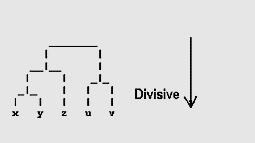 Stop when k number of clusters is achieved. Divisive (top down).